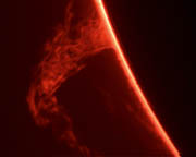 Prominence Just Before the Venus Transit